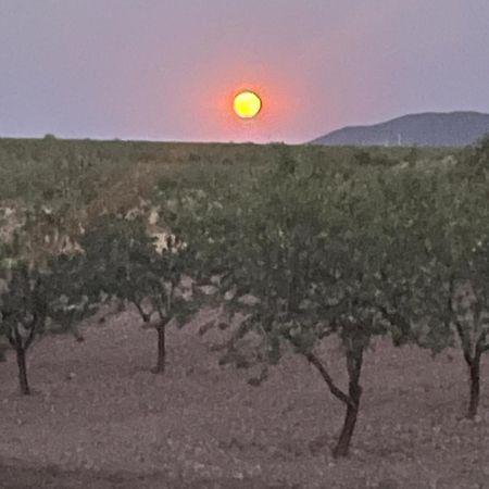Cortijo Calma - Countryside Peace & Tranquility Διαμέρισμα Oria Εξωτερικό φωτογραφία