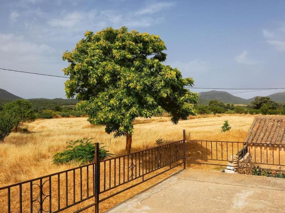Cortijo Calma - Countryside Peace & Tranquility Διαμέρισμα Oria Εξωτερικό φωτογραφία
