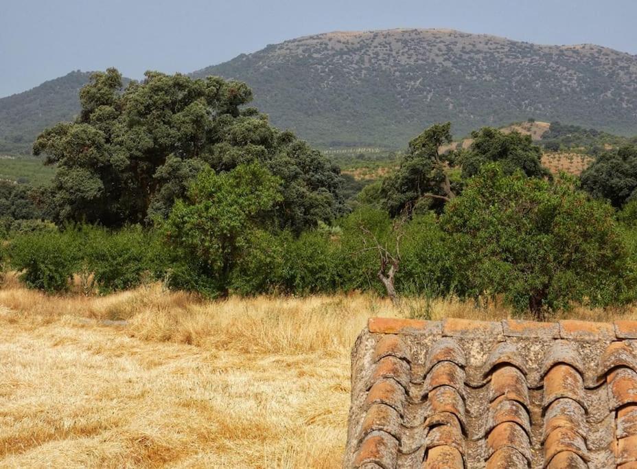 Cortijo Calma - Countryside Peace & Tranquility Διαμέρισμα Oria Εξωτερικό φωτογραφία
