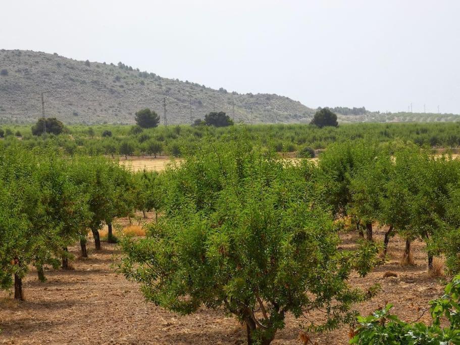 Cortijo Calma - Countryside Peace & Tranquility Διαμέρισμα Oria Εξωτερικό φωτογραφία
