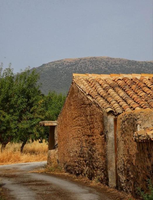 Cortijo Calma - Countryside Peace & Tranquility Διαμέρισμα Oria Εξωτερικό φωτογραφία