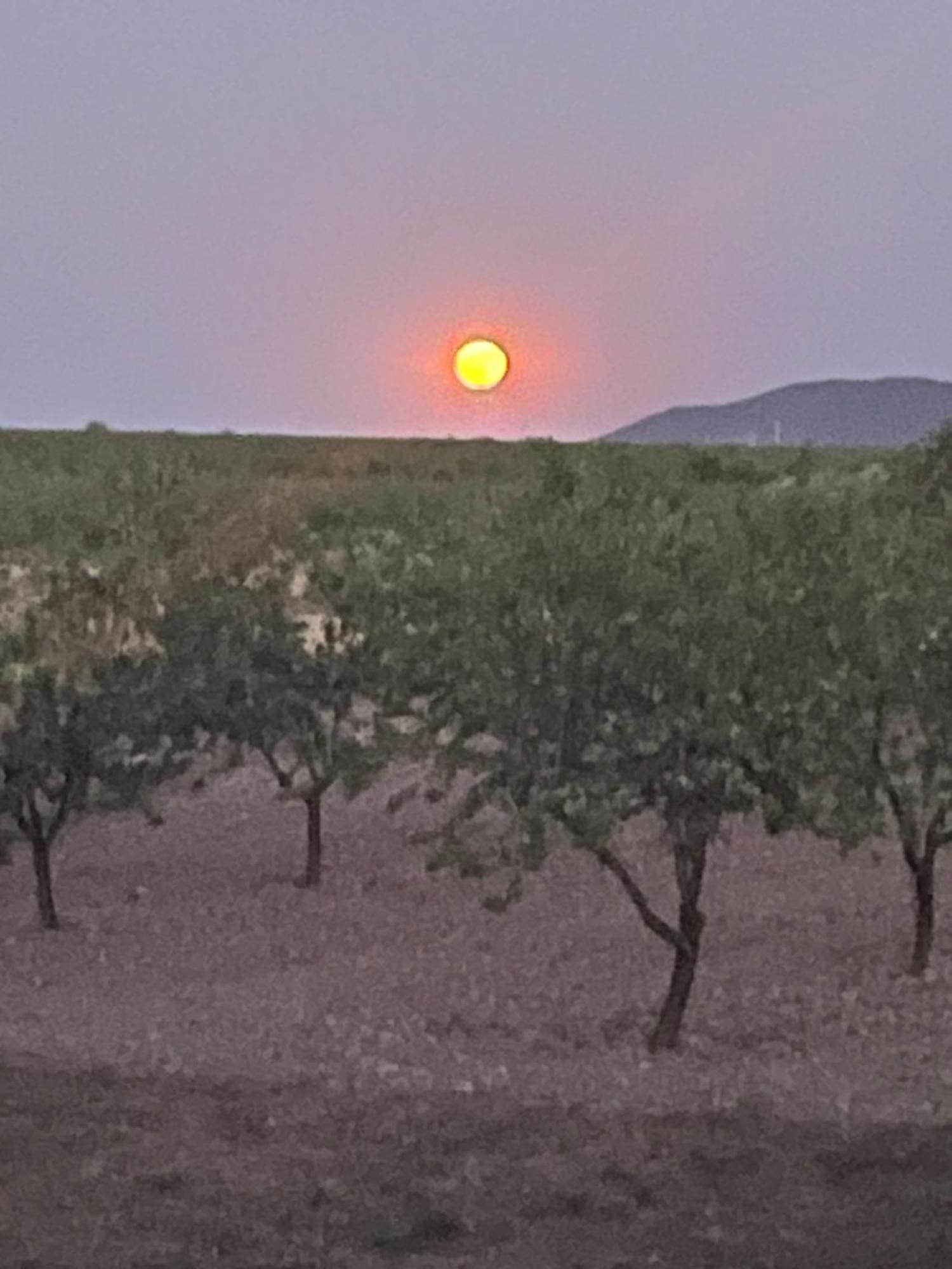 Cortijo Calma - Countryside Peace & Tranquility Διαμέρισμα Oria Εξωτερικό φωτογραφία