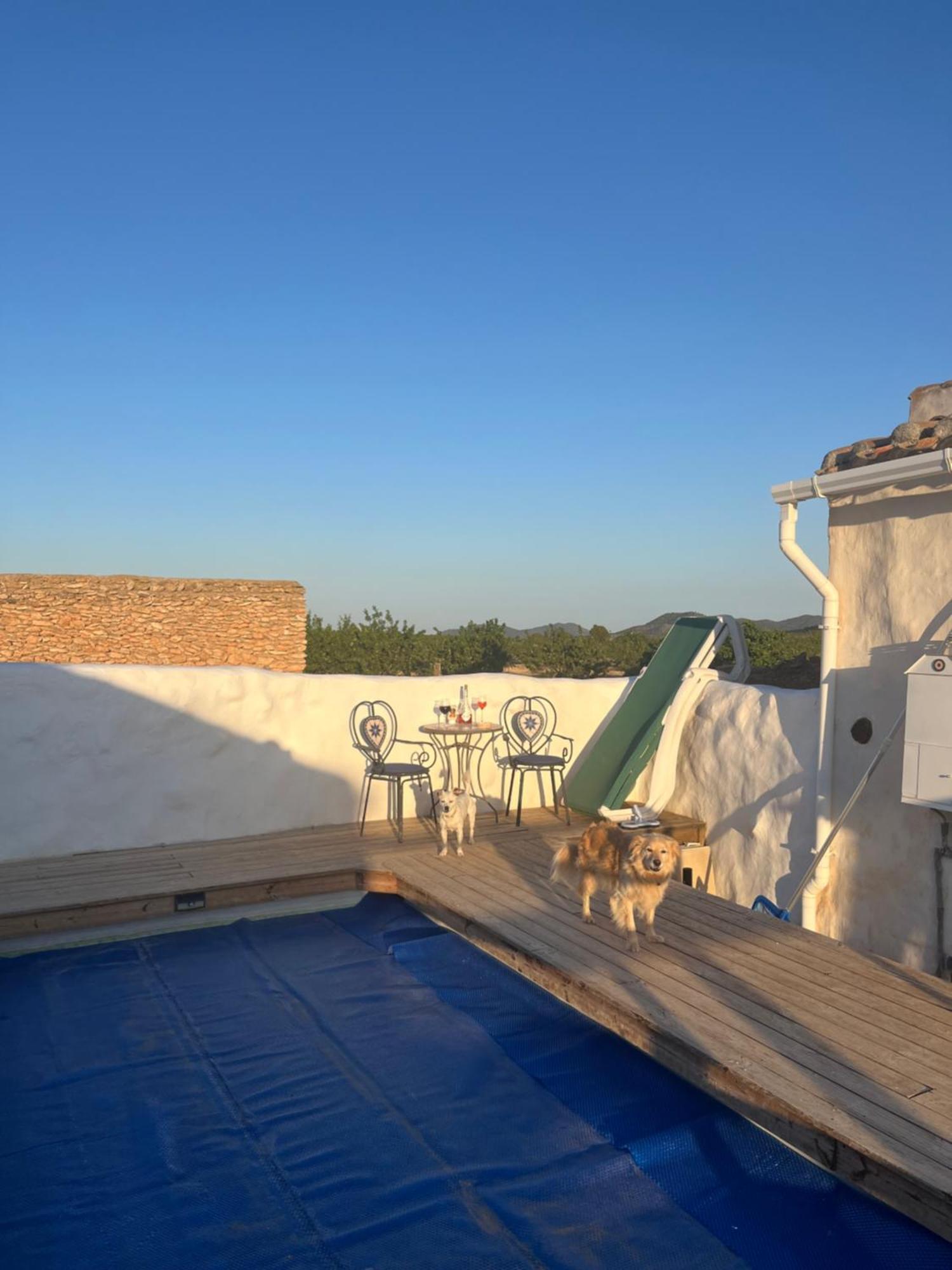 Cortijo Calma - Countryside Peace & Tranquility Διαμέρισμα Oria Εξωτερικό φωτογραφία